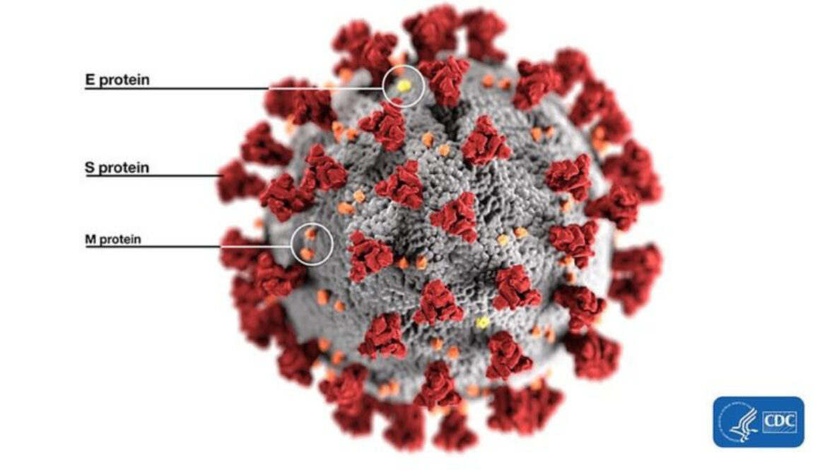 virus