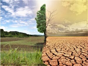 Addressing Global Warming