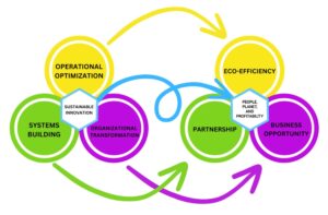 Sustainable Innovation