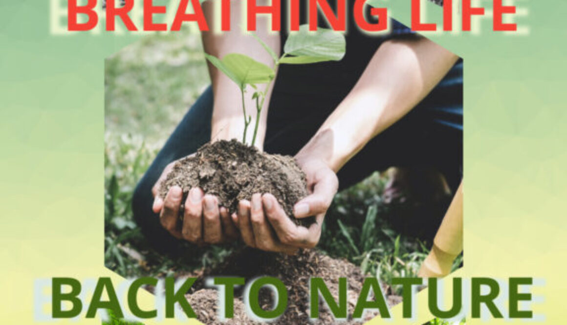 Ecological Reforestation