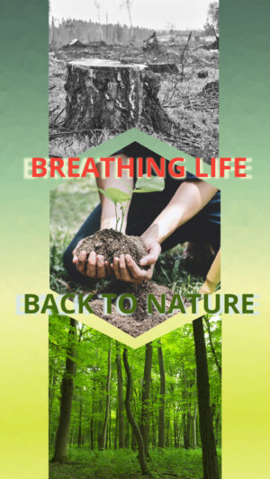 All About Reforestation