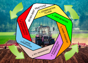 Sustainable Agriculture