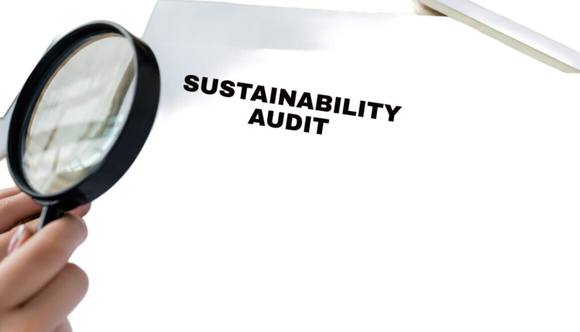 Sustainability Audit (1)