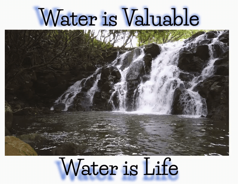 water value (1)