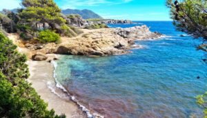 Summer at the South of France